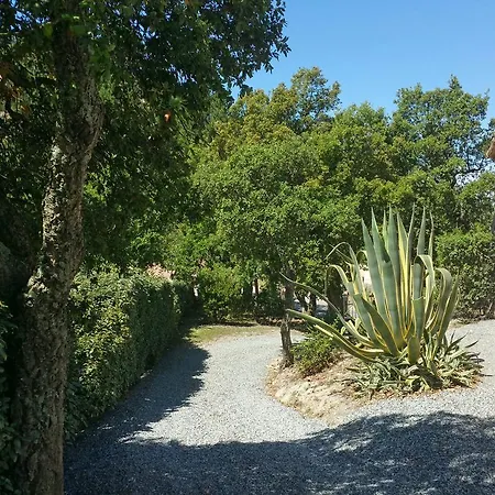 Holiday Panoramic